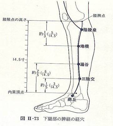 三陰交穴